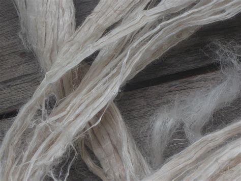 Ramie Fibres Vers Un Futur Durable Dans L Industrie Textile Et Les Composites Solutions